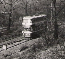 a tram in Middleton Woods